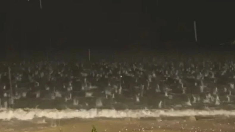 Las piedras de granizo alcanzaron un tamaño similar al de un huevo y provocaron daños en viviendas y vehículos.