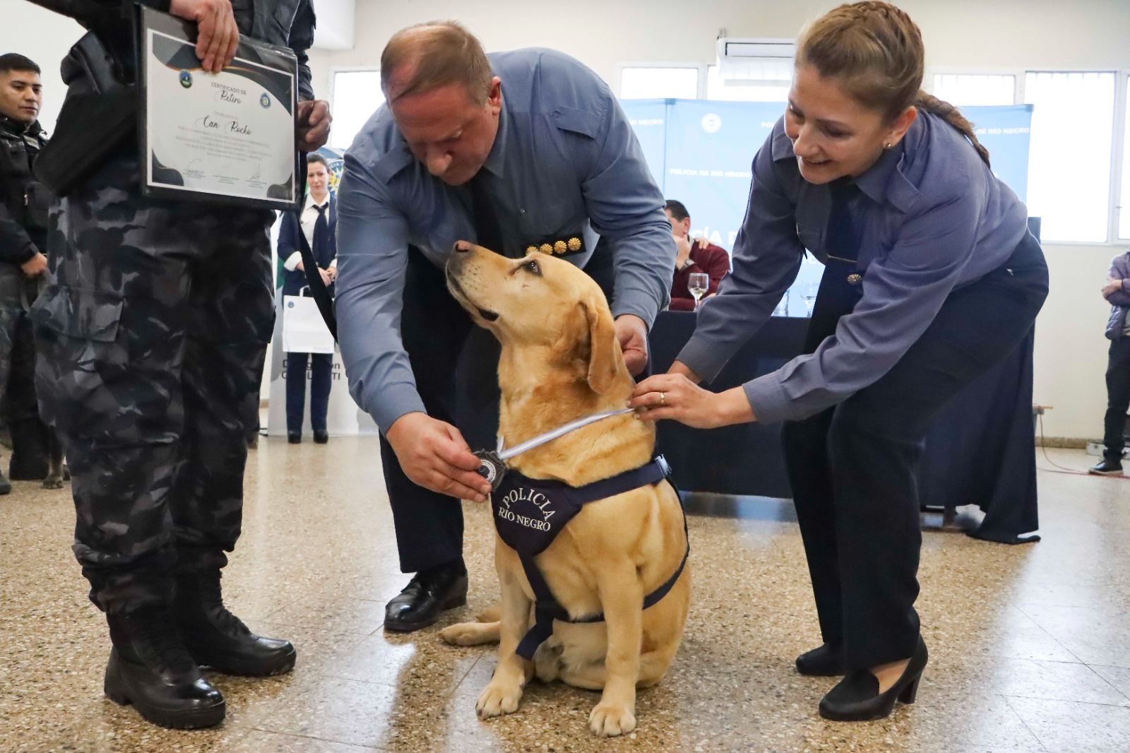 Las hazañas y nuevos destinos de los perros retirados entre lágrimas
