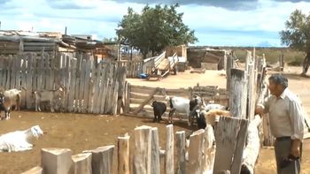 El criancero lamentó la mortandad de algunos animales. (Imagen de video. Archivo)