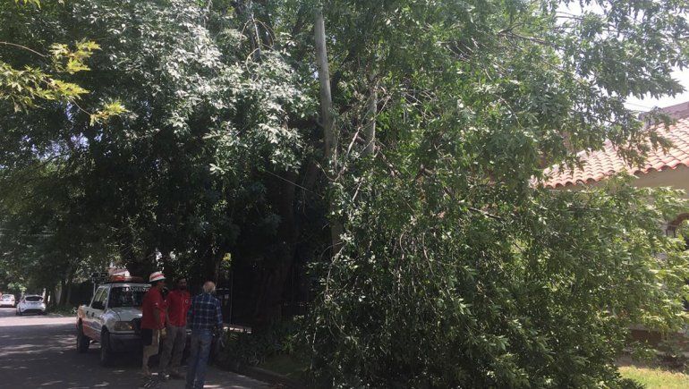 El Municipio, alerta por el pronóstico de fuertes vientos