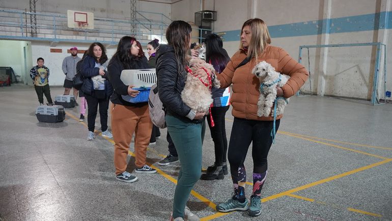 El Club San Martín sufrió un robo y la Municipalidad tuvo que suspender las castraciones gratuitas