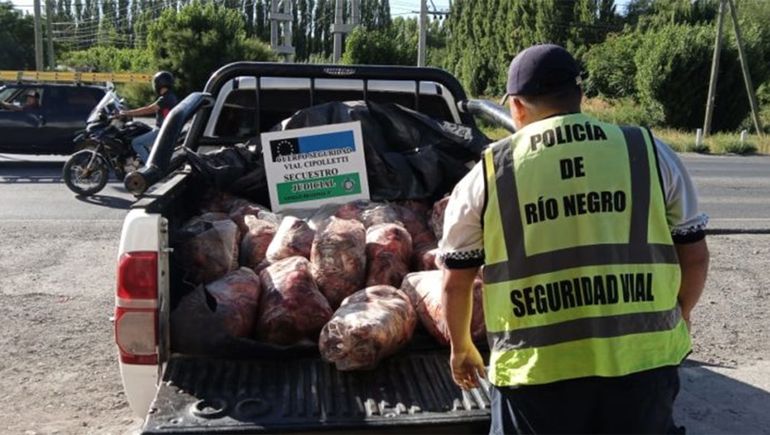 Cipolletti: secuestraron casi 400 kilos de carne ilegal que iba a ser distribuida en el Alto Valle
