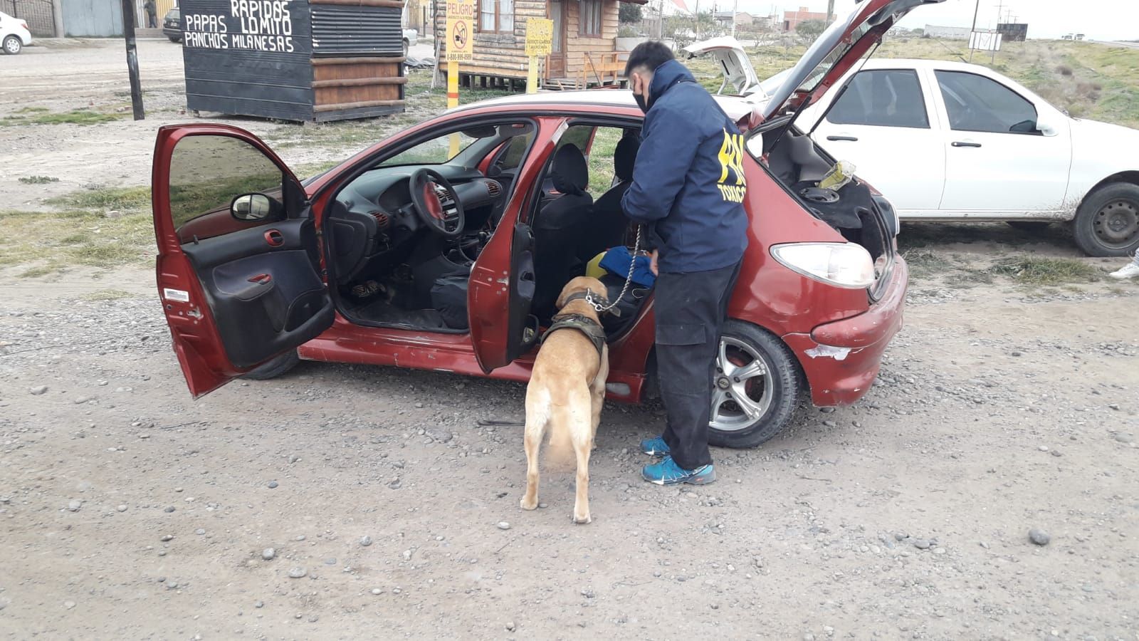 Rocco detectó la droga una vez más.