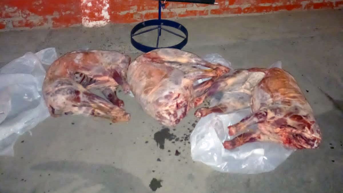 Se negó a la inspección de su camioneta