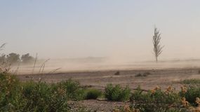 Alerta por vientos intensos en Cipolletti: se esperan fuertes ráfagas los próximos días | LMCipolletti.com Alerta por vientos intensos en Cipolletti: se esperan fuertes ráfagas los próximos días