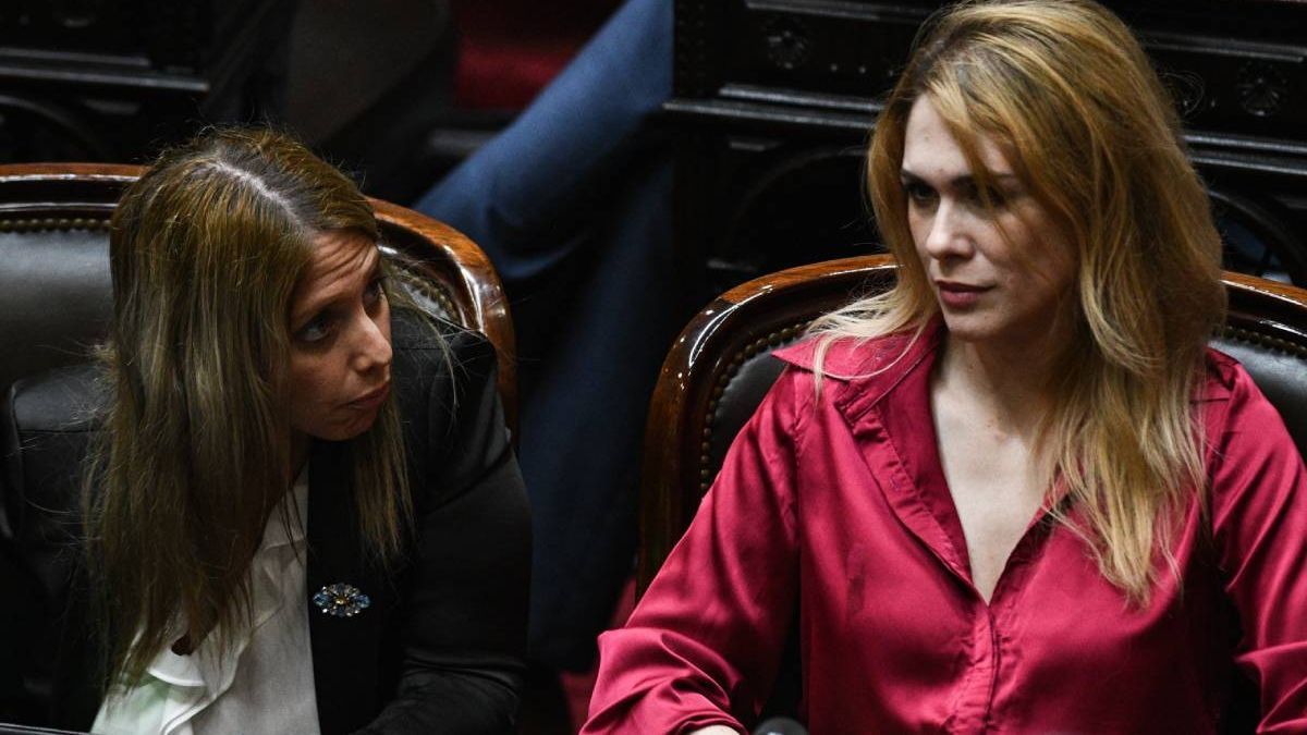 Lilia Lemoine, de La Libertad Avanza, filosa contra su compañera Lourdes Arrieta.