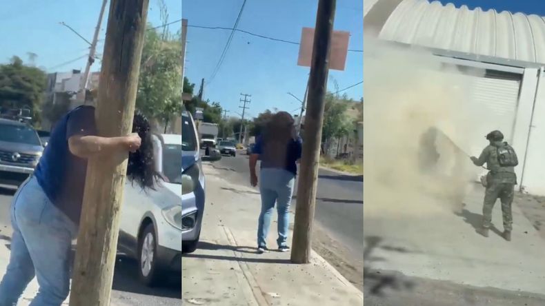 La mujer sufrió más de 200 picaduras de abejas en México y fue estabilizada para prevenir posibles reacciones alérgicas.