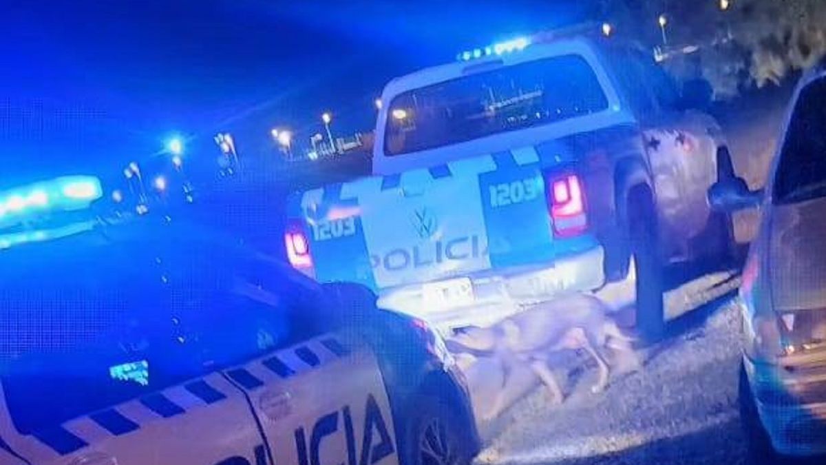 Violento robo en el autódromo de Centenario: se llevaron millones de pesos