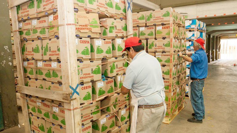 El rol de las grandes exportadores