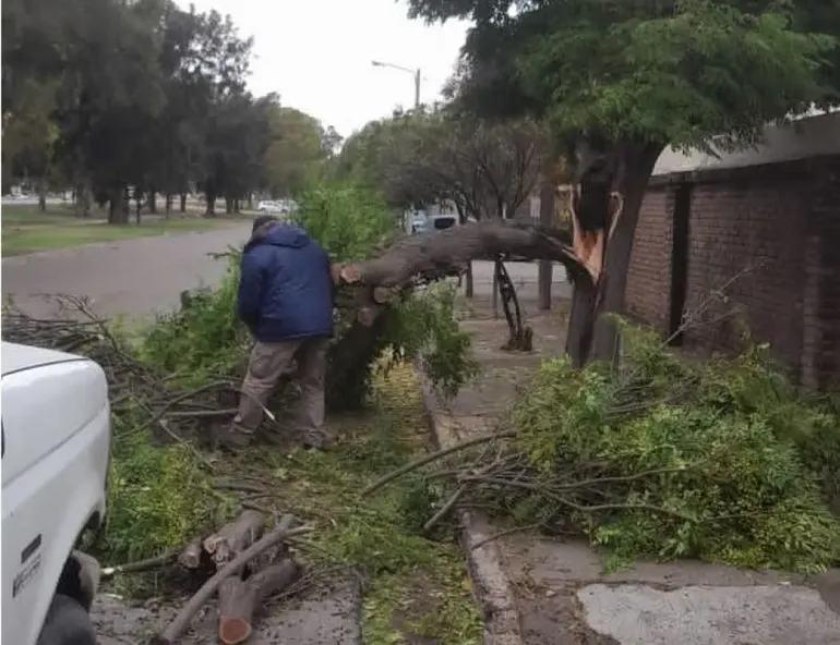 El temporal provoc&oacute; destrozos en las ciudades costeras de R&iacute;o Negro.&nbsp;