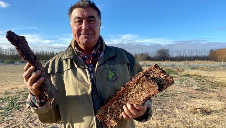 Transforma el desecho de las jugueras del Alto Valle en leña