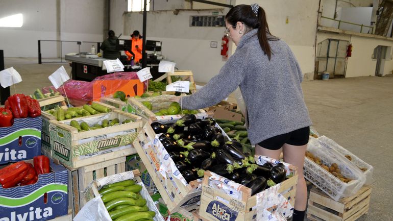 Muchos vecinos y vecinas ya compran en la Feria de Frutas y Verduras.