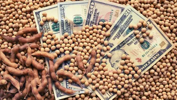 El dólar sigue estando en el centro de la escena entre los inversores del mercado granario. El dólar sigue estando en el centro de la escena entre los inversores del mercado granario.
