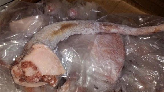 Decomisaron carne de cerdo prohibida en la zona