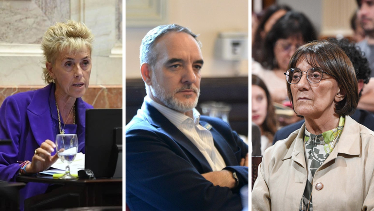 Los tres senadores rionegrinos votaron diferente ante el proyecto de suspensión de las elecciones Primarias