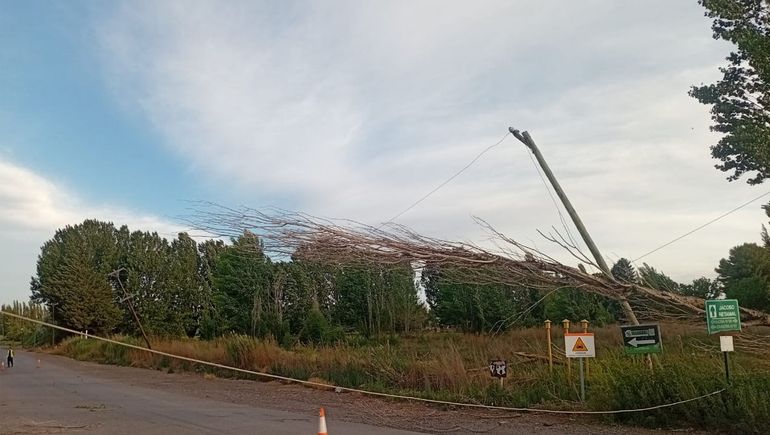 Por fuertes ráfagas de viento se cortó la luz en localidades rionegrinas