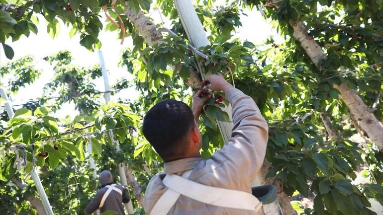Lanzan línea de financiamiento destinado a chacareros para adquirir agroquímicos