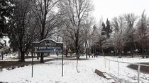 Así se vio Cipolletti tras una nevada anterior.