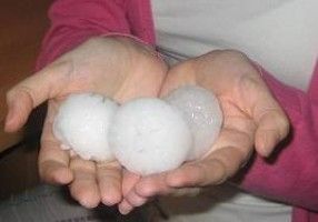 Prórroga para Programa de Seguro contra Granizo