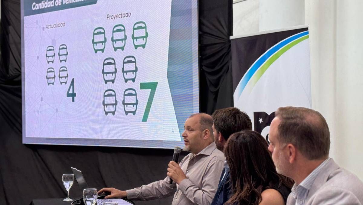 Así será el servicio de colectivos en Cipolletti a partir del 2025