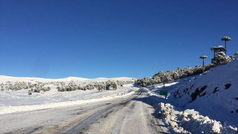 El paso Pino Hachado sigue cerrado por las condiciones climáticas