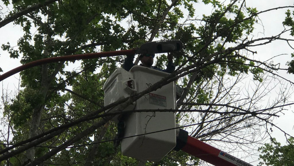 Dos nuevos barrios inician el plan de recambio de iluminación led en Cipolletti.
