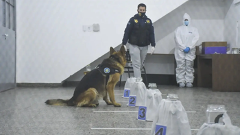 El narcotráfico es uno de los principales flagelos de la sociedad.