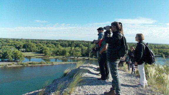 Un escape de la rutina: invitan a ser parte del turismo de avistaje 