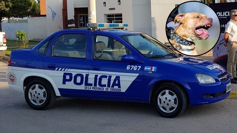 Murió en plena calle porque su pitbull atacó a quienes intentaron ayudarlo