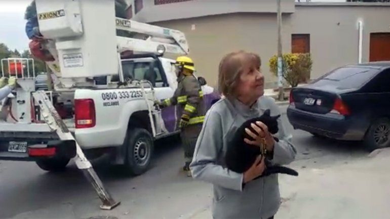 Espectacular operativo para rescatar a un gato que se habia trepado por los cables de luz
