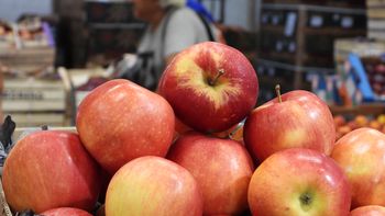 Con valores que alcanzan máximos históricos en dólares, la manzana consolida su firmeza en las góndolas y proyecta un escenario de precios sostenidos durante la segunda mitad del año. | LMCipolletti.com Con valores que alcanzan máximos históricos en dólares, la manzana consolida su firmeza en las góndolas y proyecta un escenario de precios sostenidos durante la segunda mitad del año.