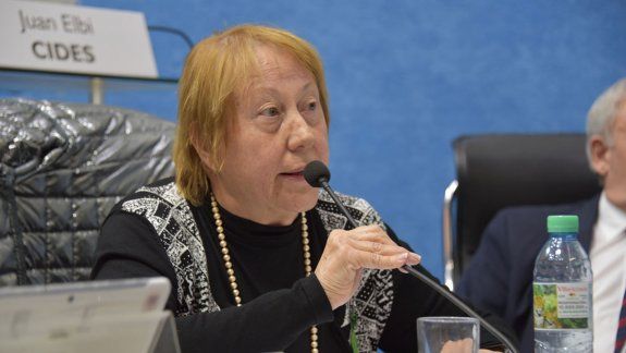 Milesi disertó sobre la ley de aborto no punible en la UNCo
