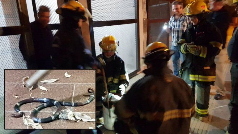Una falsa coral asustó a todos los vecinos en un barrio de Centenario