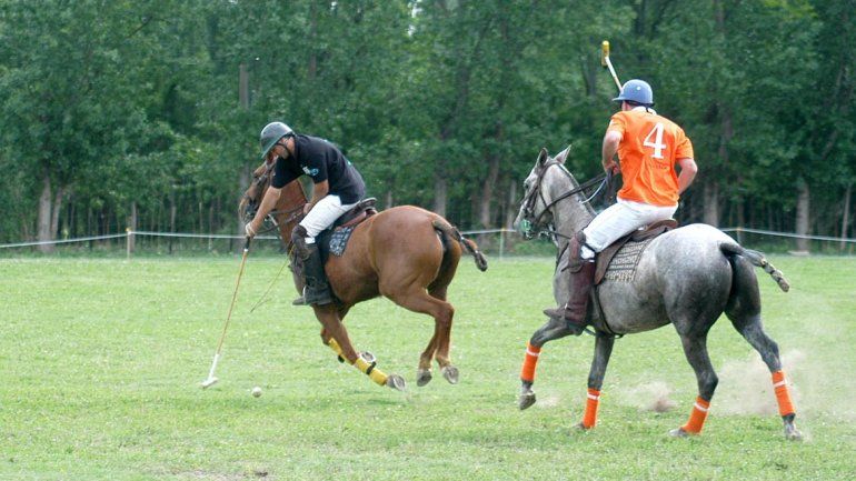 Un domingo diferente con la Expo Caballos del Valle