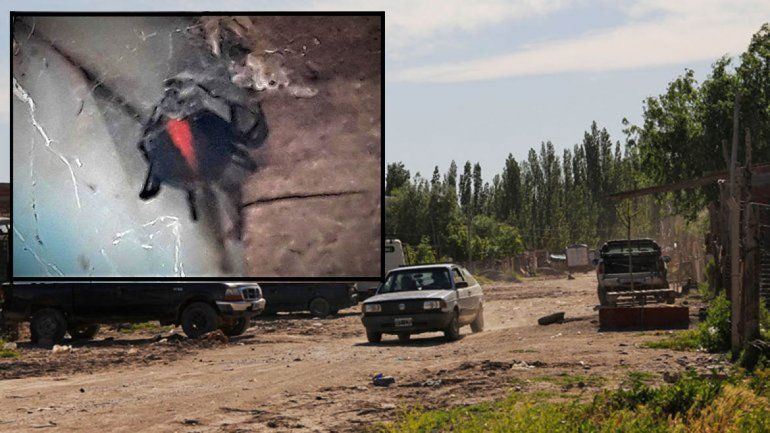 Vecinos encontraron una viuda negra en el comunitario del barrio Obrero y hay temor