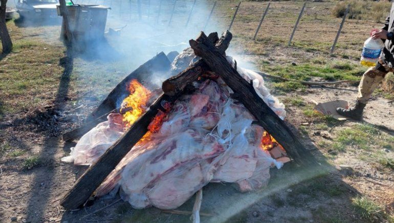 Otra vez, una camioneta abarrotada de carne ilegal