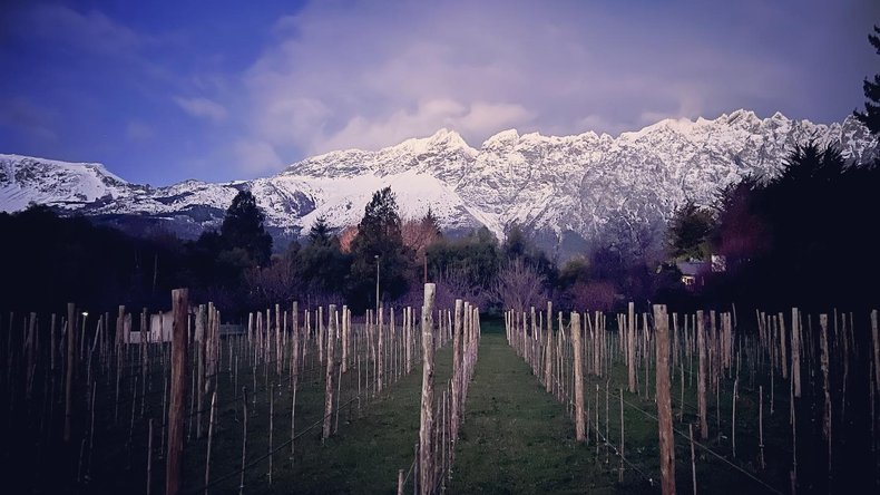 La frontera del vino se extiende y llega al pie del cerro de El Bolsón. Foto: @bodegadebernardi