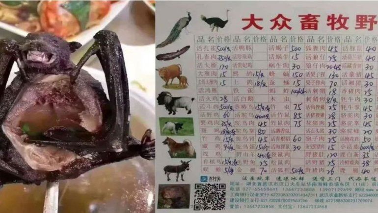 China: sigue el mercado de murciélagos, pese al riesgo sanitario