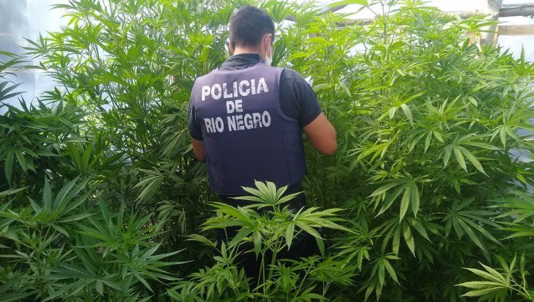 Allanamiento, drogas y una casa incendiada tras el intento de homicidio