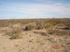 Reclaman pronta efectivizacion de la homologación nacional de  la emergencia por sequía