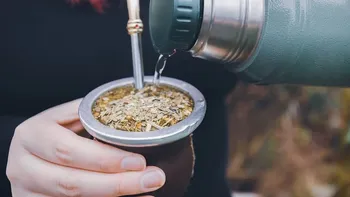 ¿que tipo de yerba no se aconseja usar para el mate? 