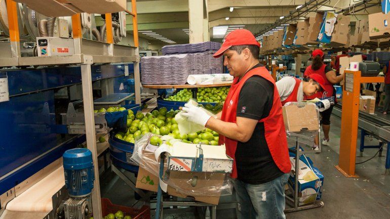 El Gobierno de Río Negro propone la exención total de Ingresos Brutos para la fruticultura