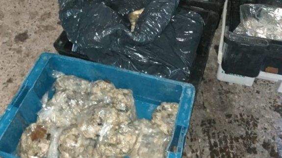 Traía bolsas con ostras a Cipolletti y le decomisaron todo: ¿qué pasó?