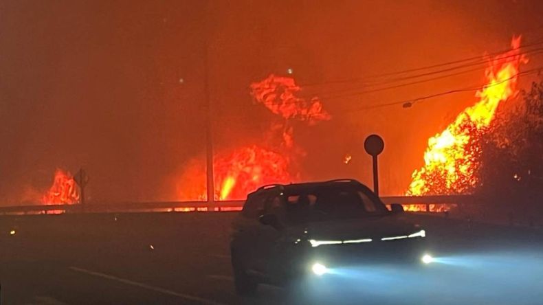 Catástrofe en Chile: confirman 16 muertos y miles de evacuados por incendios forestales en Bío Bío