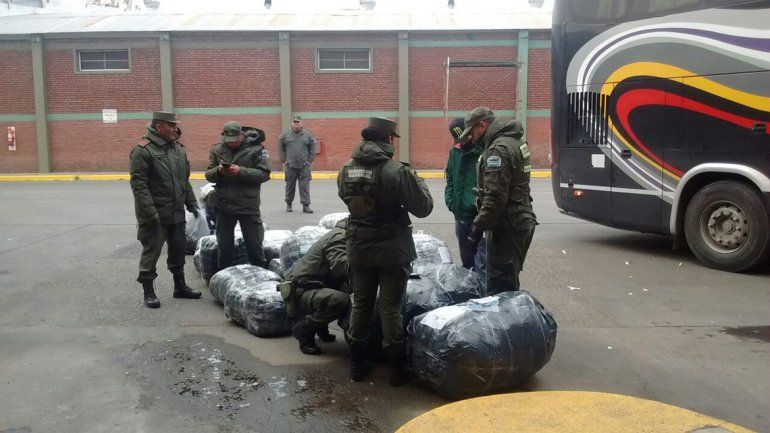 Secuestraron 20 bolsones sospechosos en la terminal de ómnibus de Cipolletti