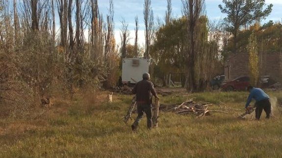 Vecinos de las tomas talan árboles para calefaccionarse
