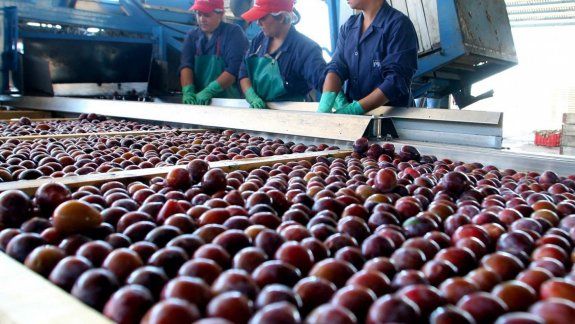 El caso Chile: cómo el acuerdo con la UE favorece a los productores frutícolas