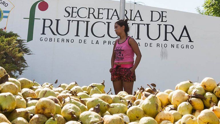 Subsidian la tasa de interés de créditos para chacareros