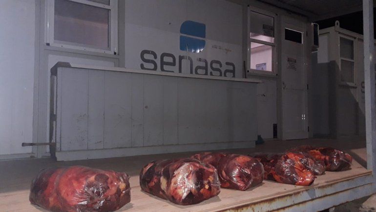 Decomisaron más de 170 kilos de carne ilegal que ingresaba a Río Negro
