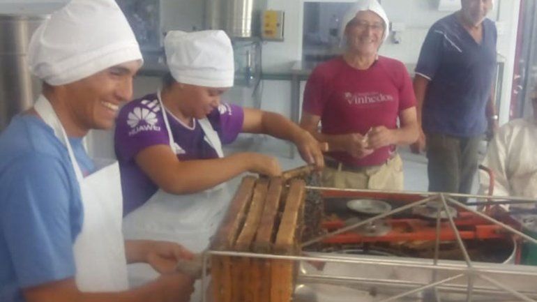 Apicultores del Valle armaron una cooperativa